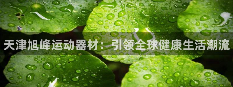 征途国际科技：天津旭峰运动器材：引领全球健康生活潮流