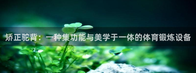 征途国际平台注册要钱吗是真的吗：矫正驼背：一种集功能与美学于