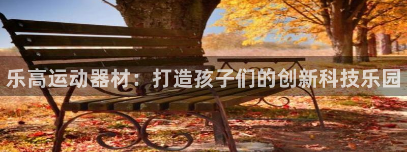 海南征途国际