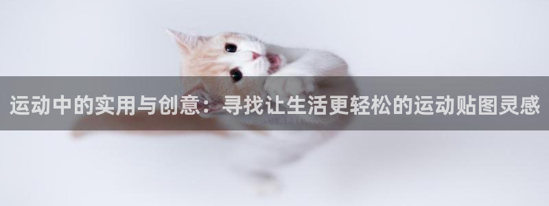征途国际招商电话号码：运动中的实用与创意：寻找让生活