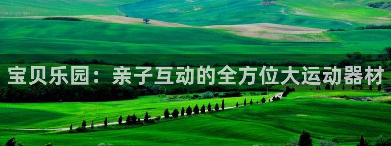 征途国际娱乐代理怎么样：宝贝乐园：亲子互动的全方位大