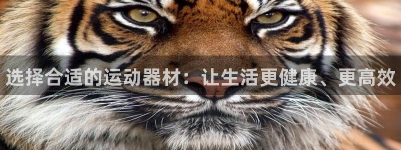 征途国际集团官网