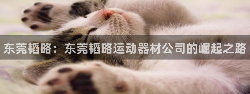 征途国际平台体育