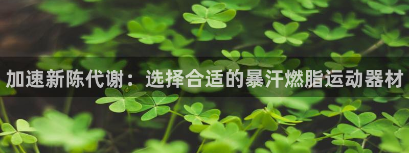征途国际招商电话是多少号码：加速新陈代谢：选择合适的暴汗燃脂
