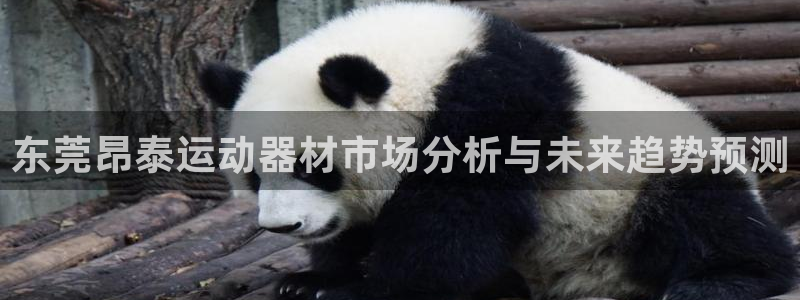 征途国际招商电话地址是多少：东莞昂泰运动器材市场分析