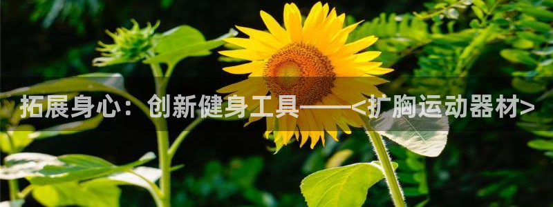 征途国际开户：拓展身心：创新健身工具——<扩胸运动器材>