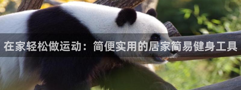 征途国际招商电话号码查询：在家轻松做运动：简便实用的居家简易