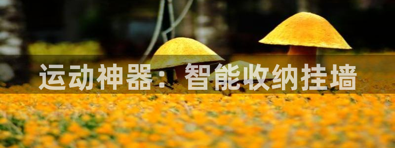 征途国际集团官网首页网址：运动神器：智能收纳挂墙