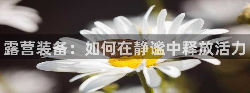 征途国际招商电话号码：露营装备：如何在静谧中释放活力