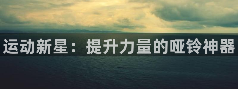 征途国际官方客服电话：运动新星：提升力量的哑铃神器