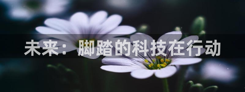 征途国际官方客服电话
