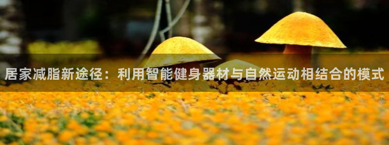 征途国际平台体育