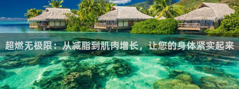 征途国际开户：超燃无极限：从减脂到肌肉增长，让您的身体紧实起