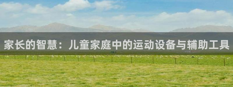 征途国际娱乐首页官网下载：家长的智慧：儿童家庭中的运动设备与