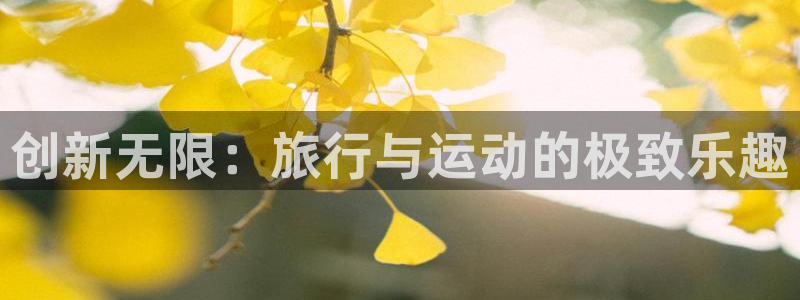 征途国际联系电话