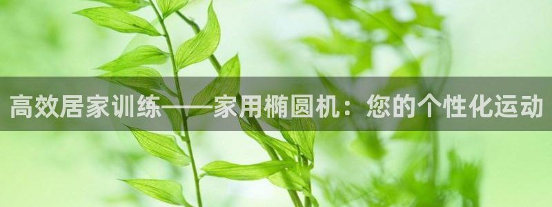 征途国际平台APP：高效居家训练——家用椭圆机：您的个性化运