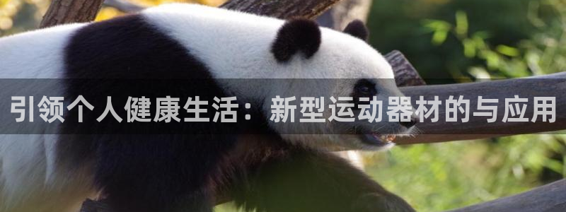 征途国际平台是正规平台吗知乎：引领个人健康生活：新型