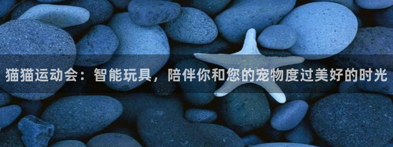 征途国际平台APP