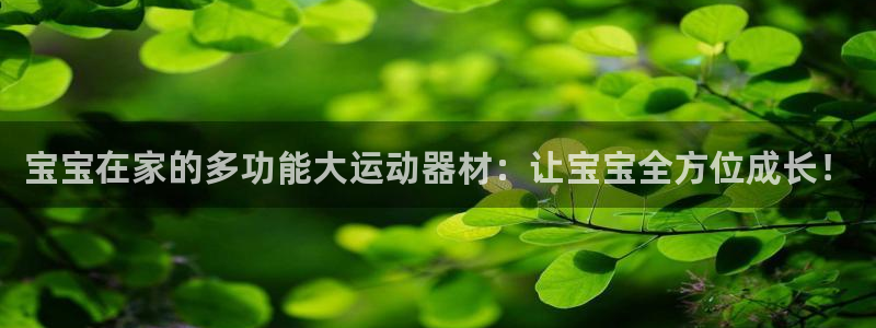 征途国际招商电话号码是多少号：宝宝在家的多功能大运动器材：让